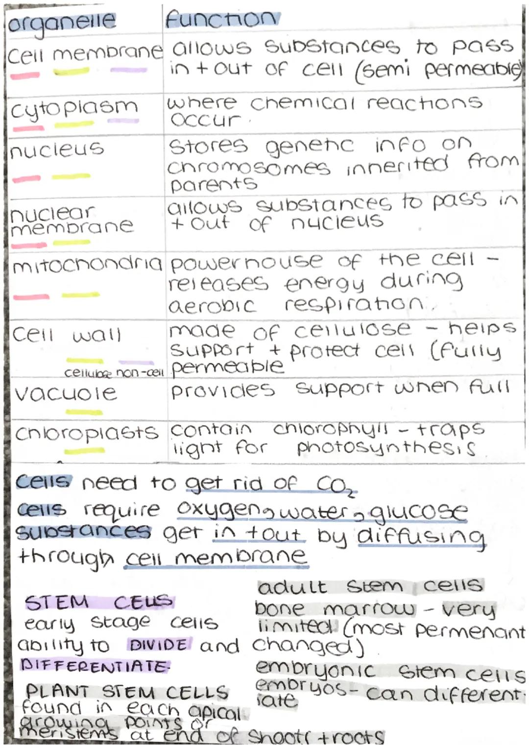 ccea gcse unit 1 higher tier biology