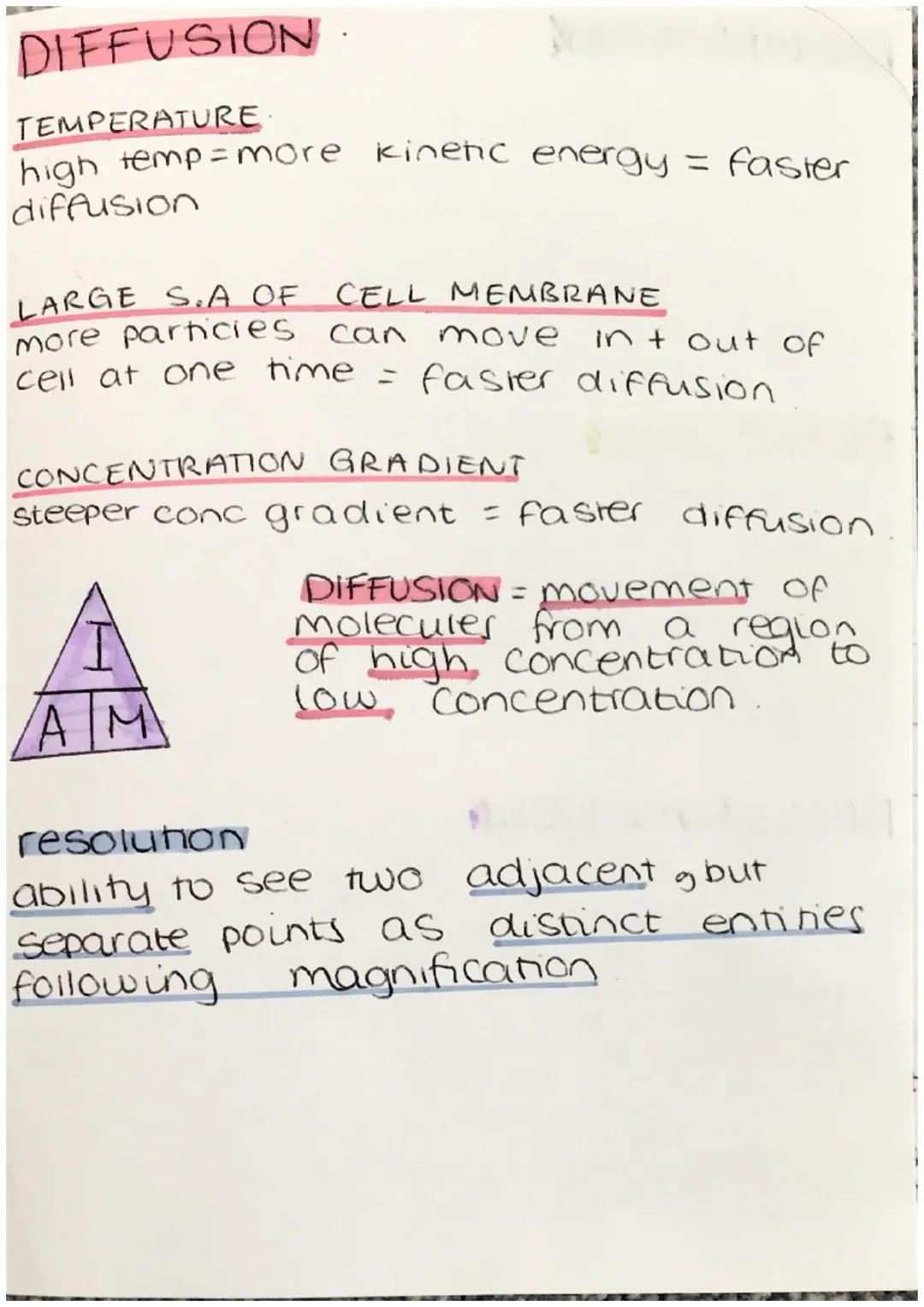 organelle function
Cell membrane allows substances to pass
in+out of cell (semi permeable)
Cytoplasm where chemical reactions
Occur
nucleus 