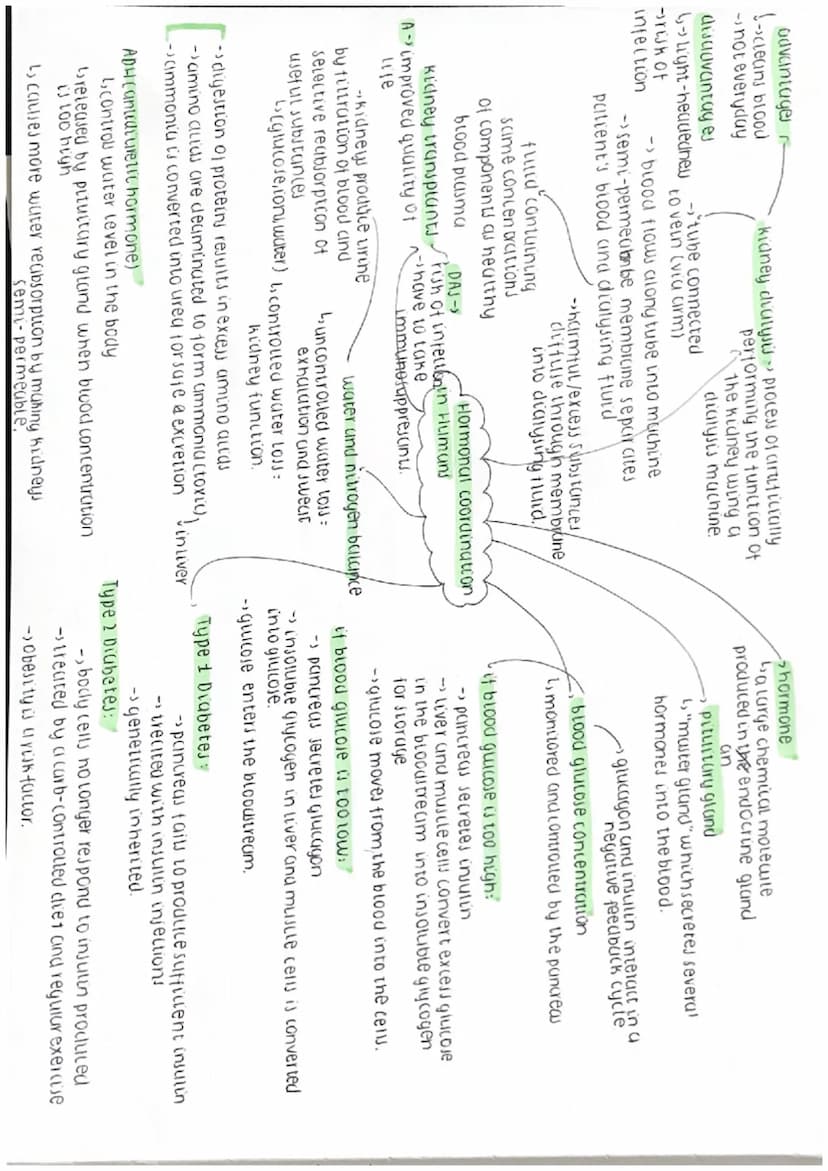 vasoconstriction vasodilation
decrease heat
LOSS Shivering.
-bincrease heat
hyperopia (long-sightednew)
blight rays fous behind reting
dilat