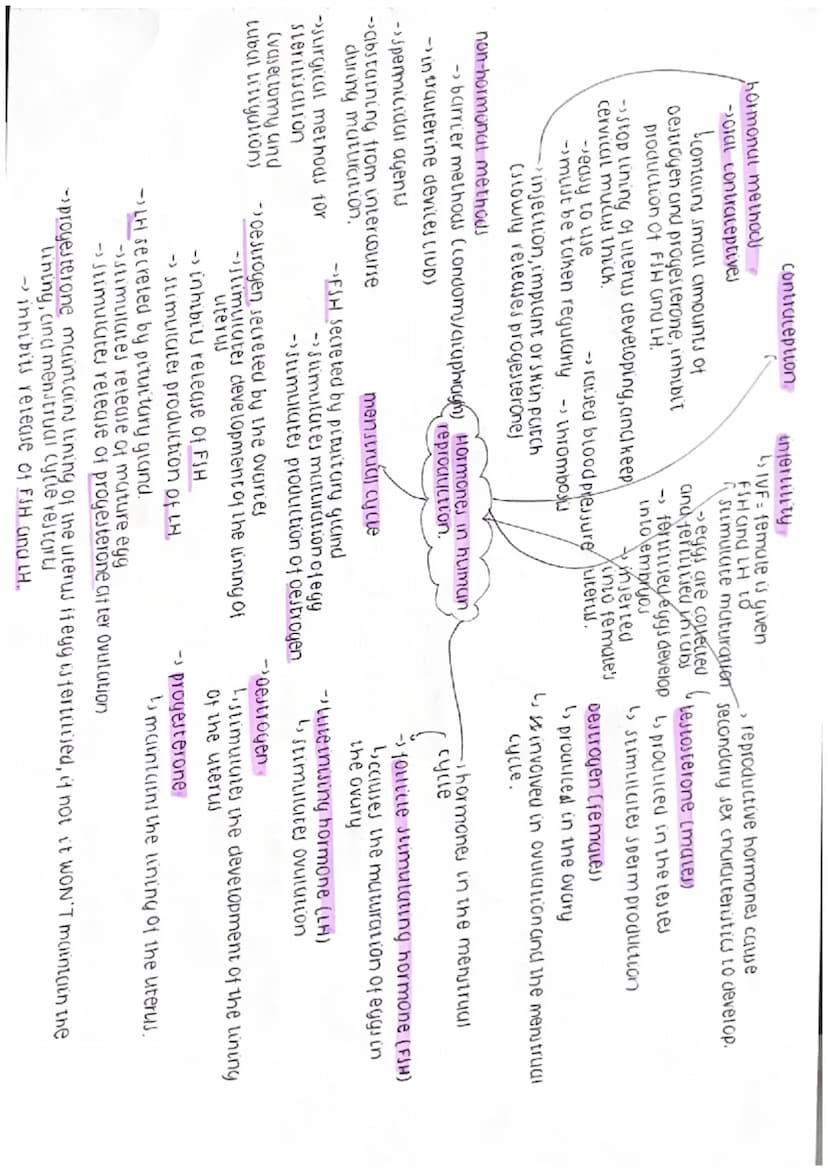 vasoconstriction vasodilation
decrease heat
LOSS Shivering.
-bincrease heat
hyperopia (long-sightednew)
blight rays fous behind reting
dilat