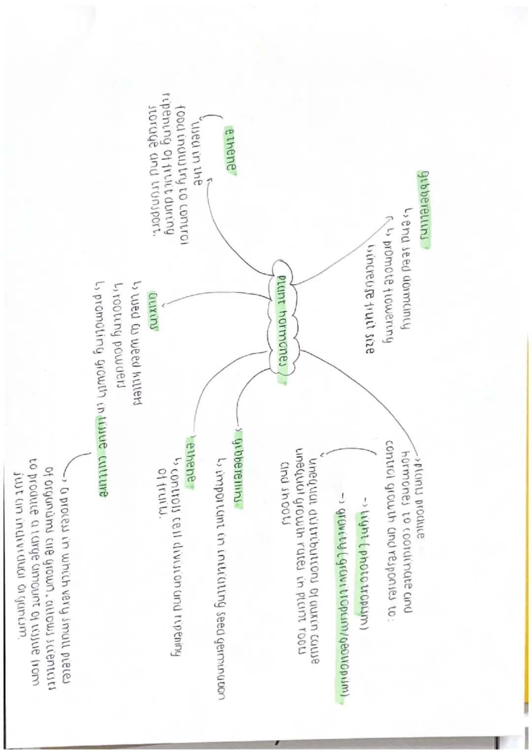 vasoconstriction vasodilation
decrease heat
LOSS Shivering.
-bincrease heat
hyperopia (long-sightednew)
blight rays fous behind reting
dilat