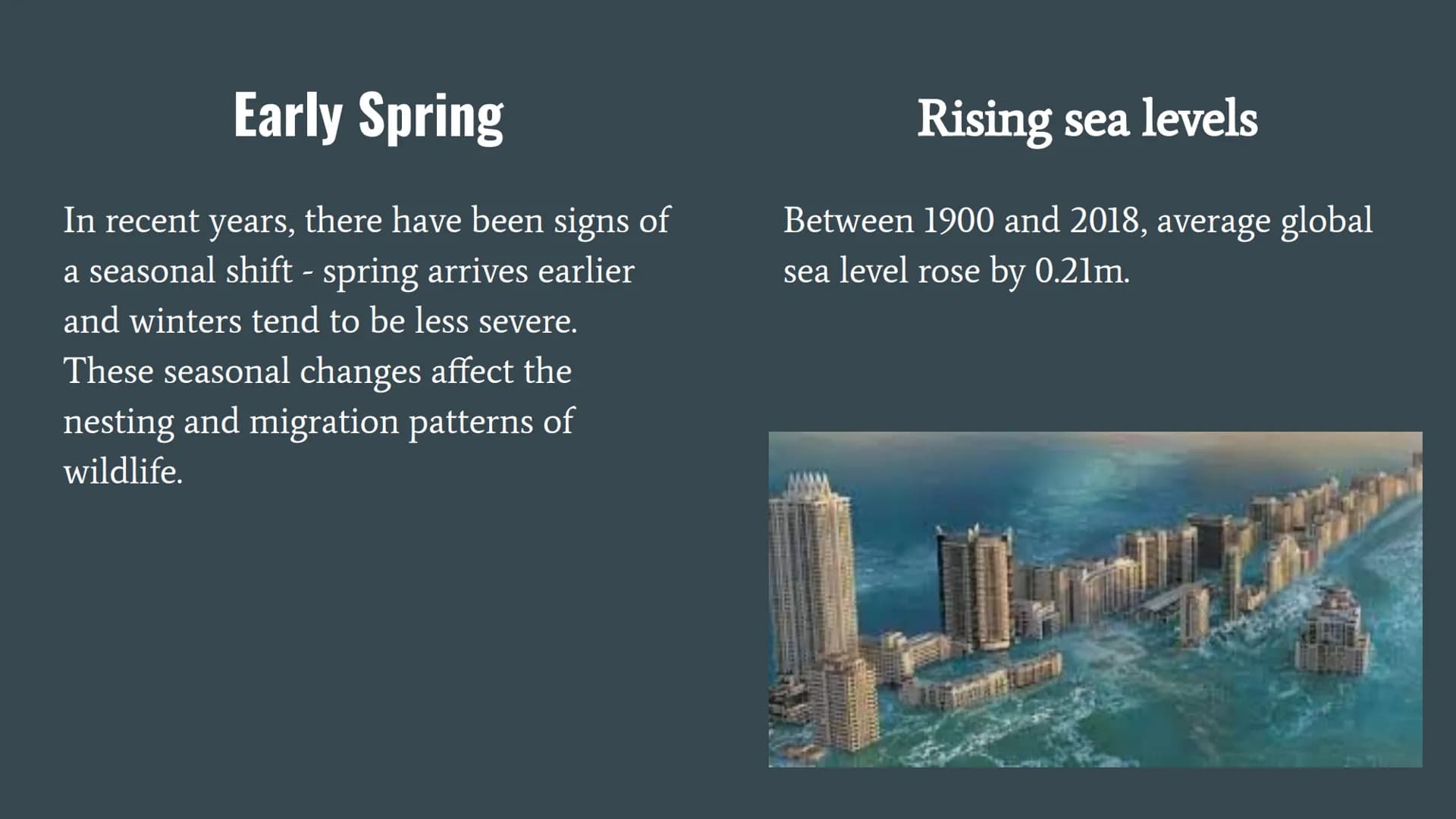 Climate Change and Global Warming
The global climate has been changing since time began and will continue to change
into the future. The Ear