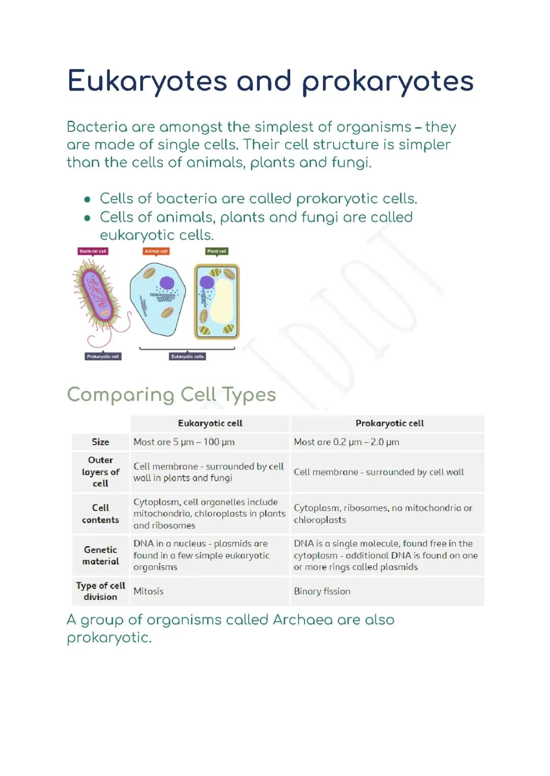 Eukaryotes and prokaryotes
