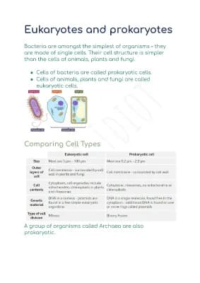 Know Eukaryotes and prokaryotes thumbnail