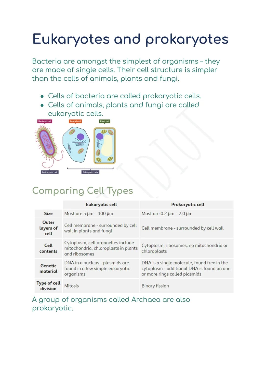 Eukaryotes and prokaryotes
Bacteria are amongst the simplest of organisms - they
are made of single cells. Their cell structure is simpler
t