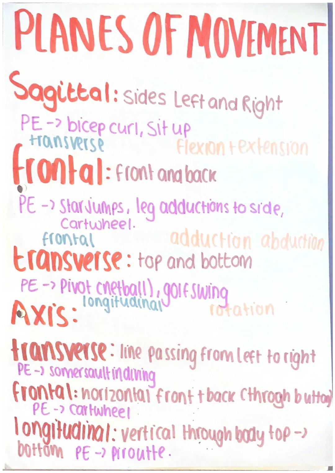 # PLANES OF MOVEMENT

Sagittal: Sides Left and Right

PE-> bicep curl, Sit up
transverse
Flexion textension

frontal: front and back

PE-> S
