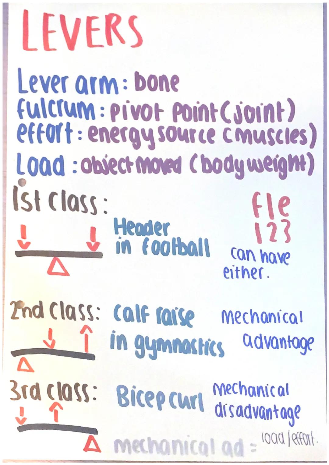 # PLANES OF MOVEMENT

Sagittal: Sides Left and Right

PE-> bicep curl, Sit up
transverse
Flexion textension

frontal: front and back

PE-> S