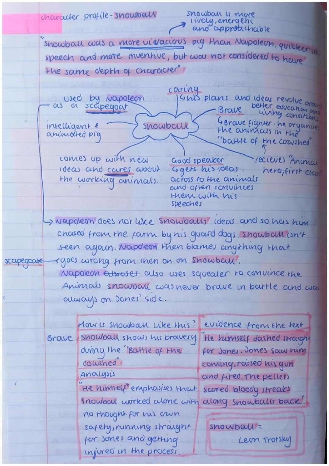 character profile - snowball
S
snowball is more
lively, energehi
and approachable
Snowball was a more vivacious pig than Napoleon, quicker i