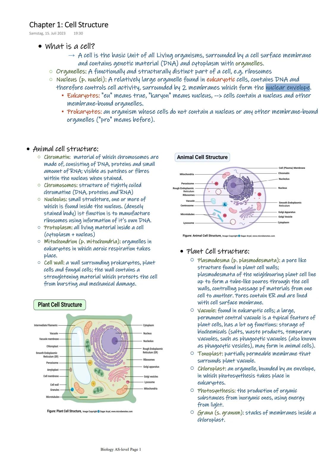 Chapter 1: Cell structures - Cells as the basic units of living Organism 