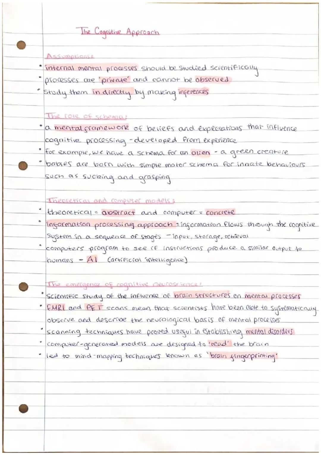 The cognitive approach 