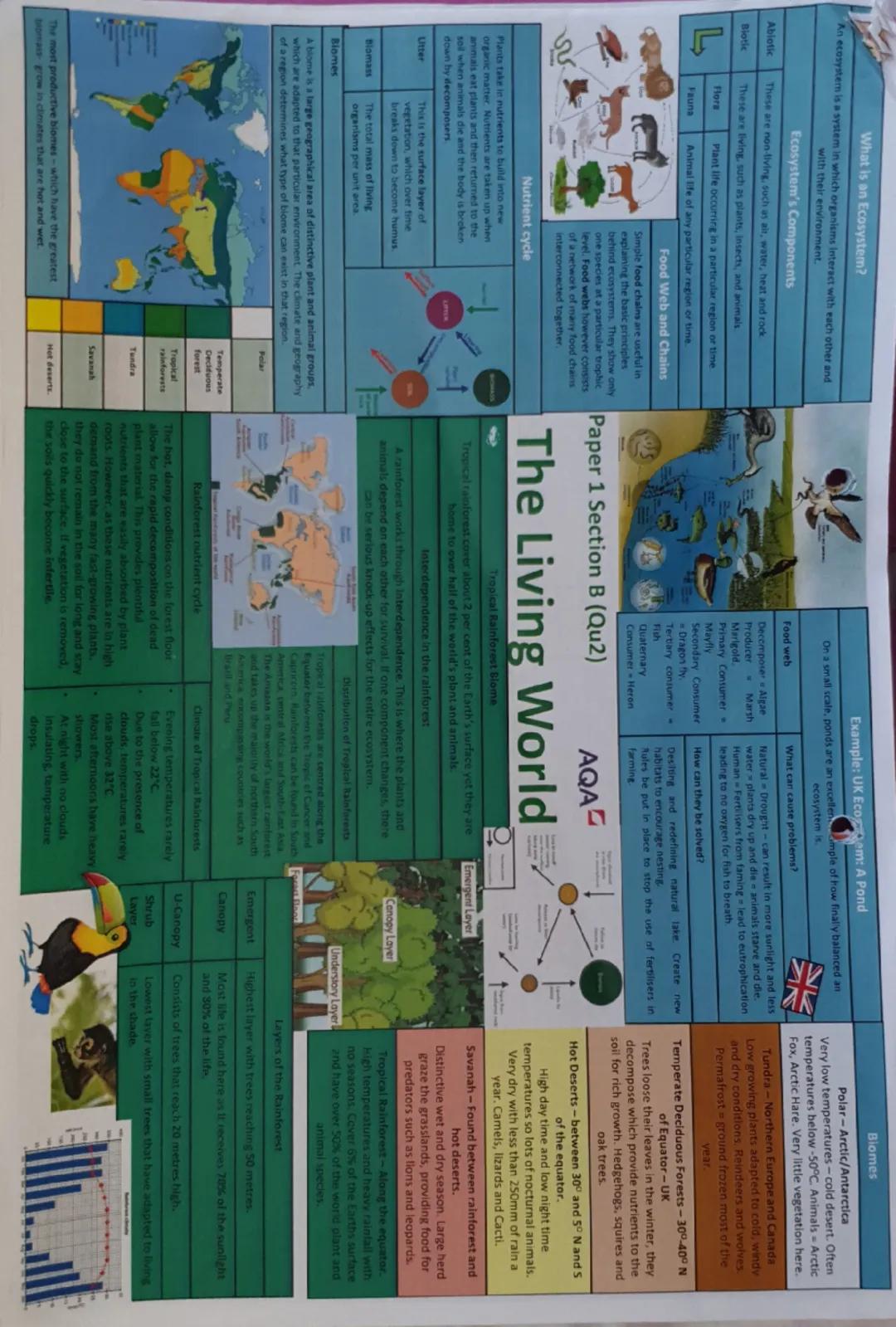 What is an Ecosystem?
An ecosystem is a system in which organisms interact with each other and
with their environment.
Abiotic
Biotic
Ecosys