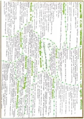 Know B3-Infection and Response thumbnail