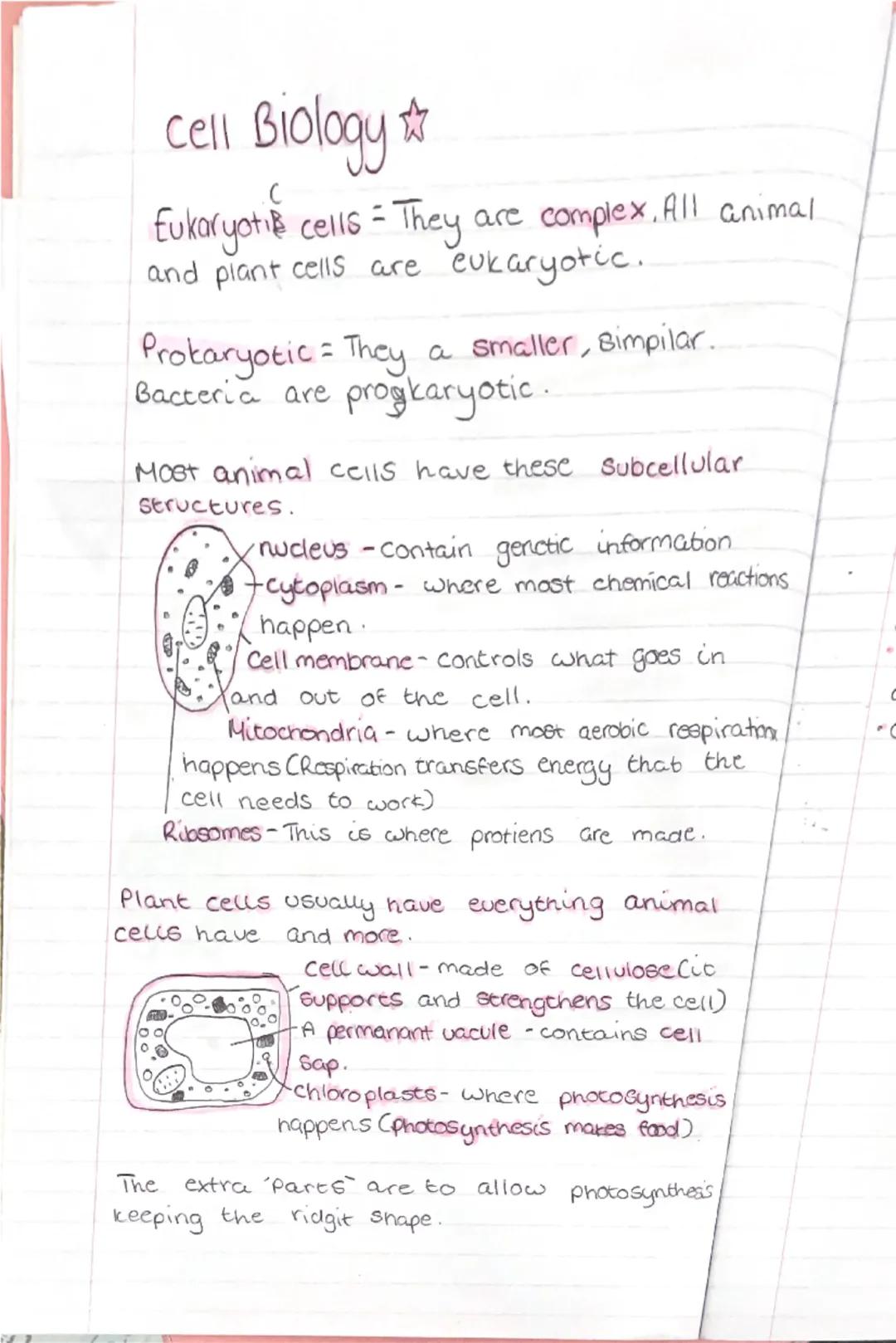 # cell Biology ☆

Eukaryotic cells - They are complex. All animal and plant cells are eukaryotic.

Prokaryotic - They a smaller, Bimpilar. 

