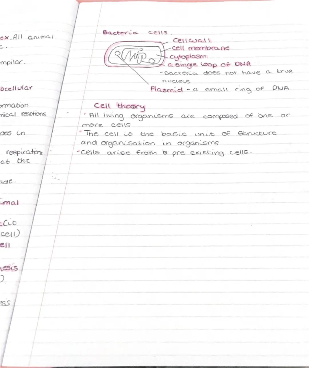# cell Biology ☆

Eukaryotic cells - They are complex. All animal and plant cells are eukaryotic.

Prokaryotic - They a smaller, Bimpilar. 
