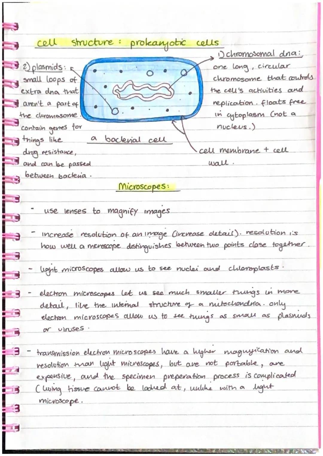 Biology
cells and microscopy
Y
Eukaryotes (e.g. animals and plants) made of complex
cells called eukaryotic cells..
Prokaryotes (e.g. bacter