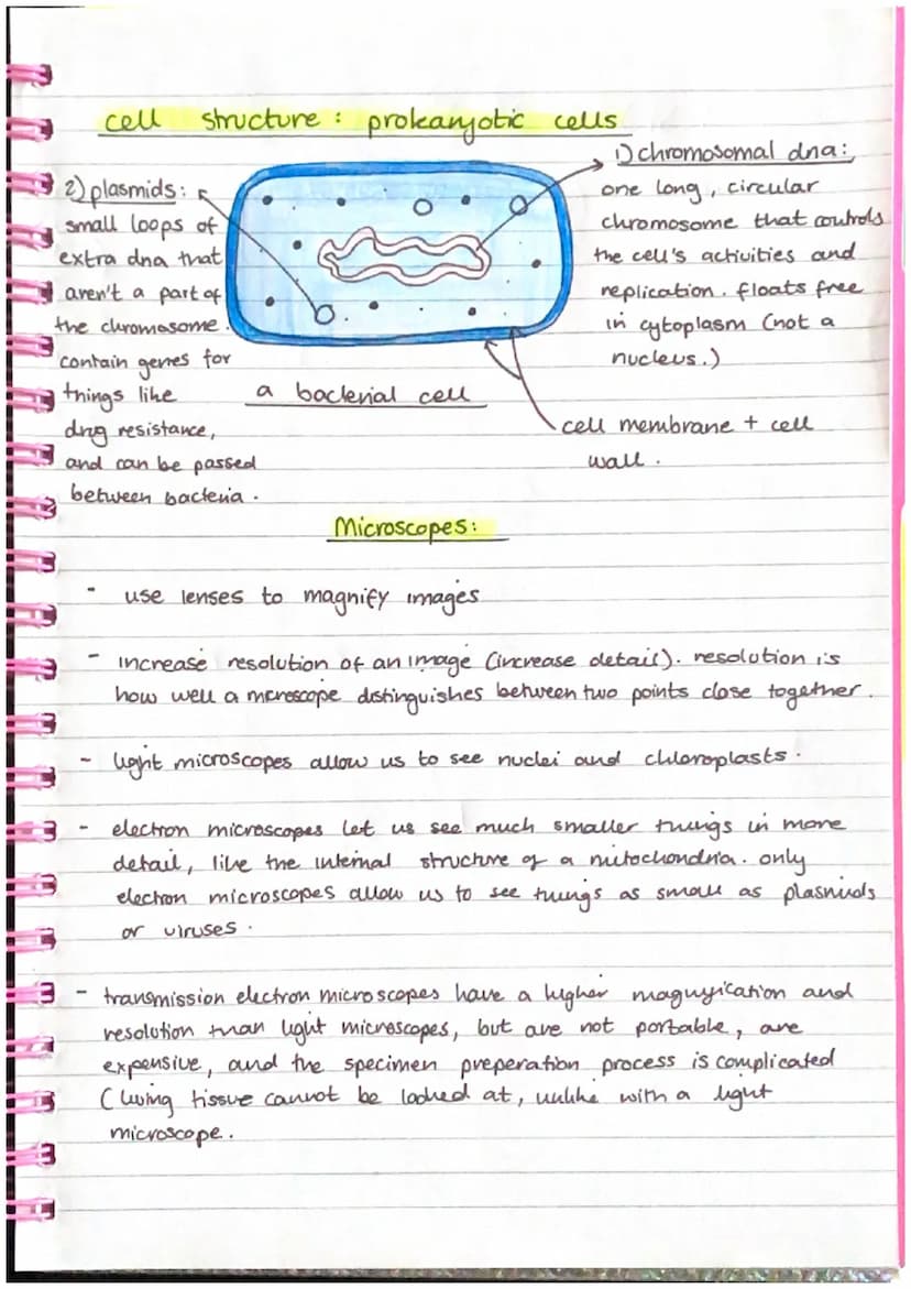 Biology
cells and microscopy
Y
Eukaryotes (e.g. animals and plants) made of complex
cells called eukaryotic cells..
Prokaryotes (e.g. bacter