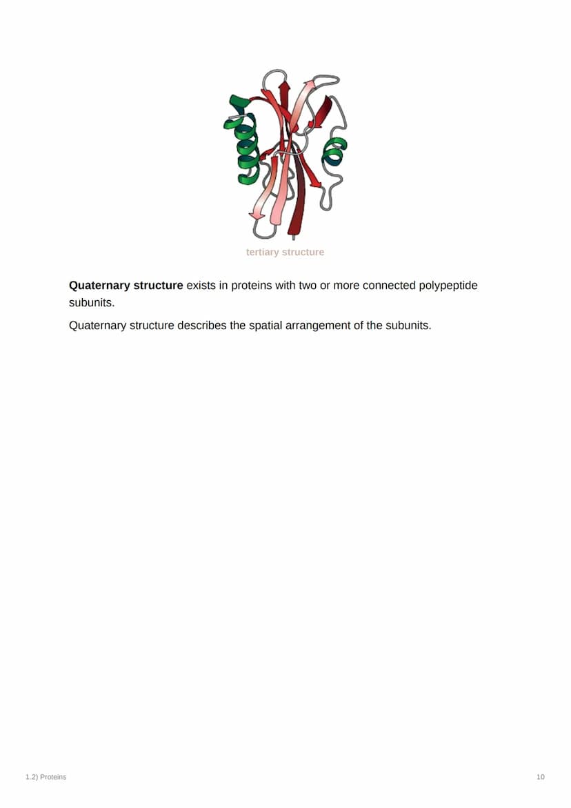 1.2) Proteins
1.2) Proteins
a) The Proteome
Complexity
2000
Genome
-20-25,000
genes Alternative splicing
2MMA
-AAA
AAA
AAA
AAA
-100,000
mRNA
