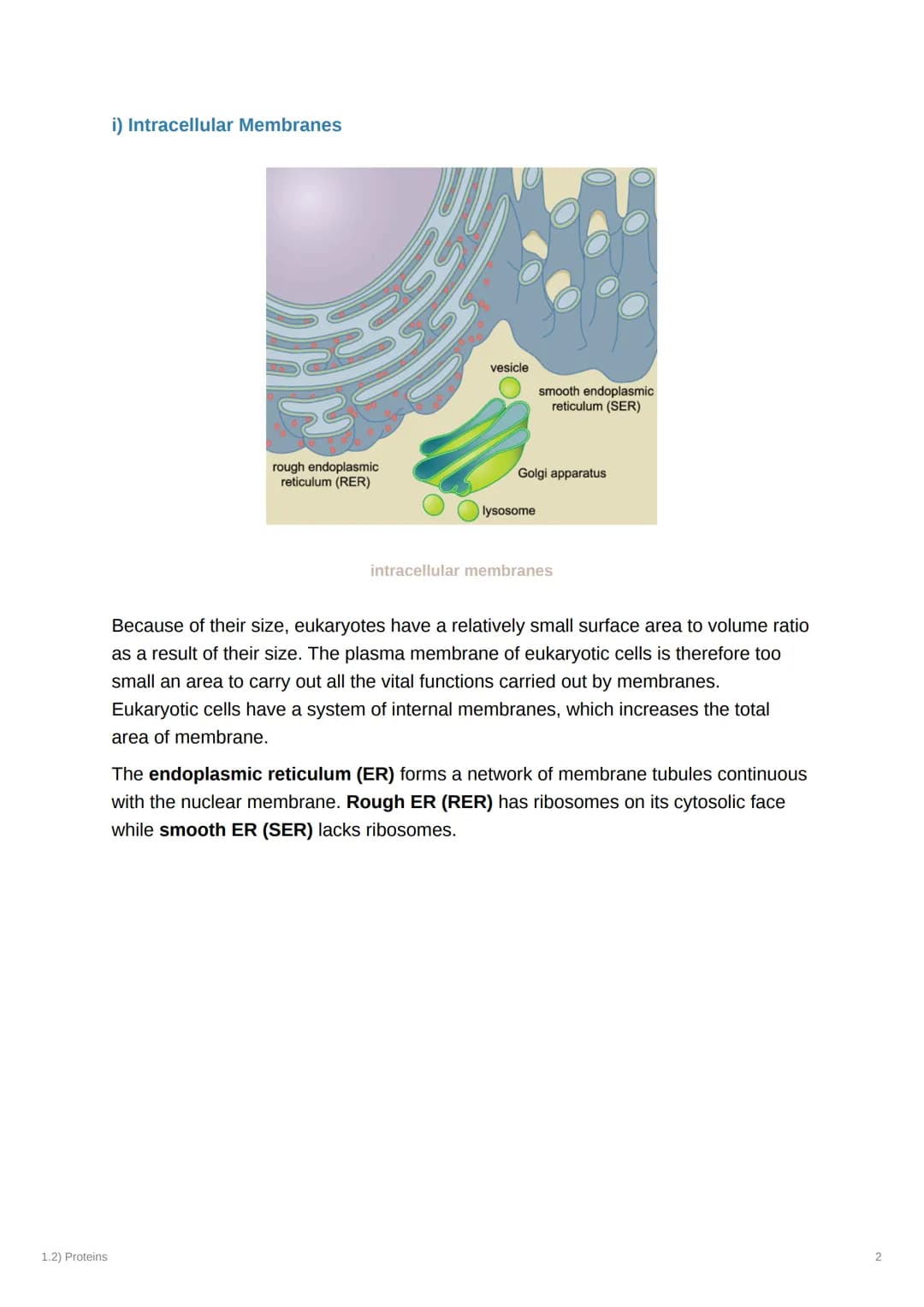 1.2) Proteins
1.2) Proteins
a) The Proteome
Complexity
2000
Genome
-20-25,000
genes Alternative splicing
2MMA
-AAA
AAA
AAA
AAA
-100,000
mRNA