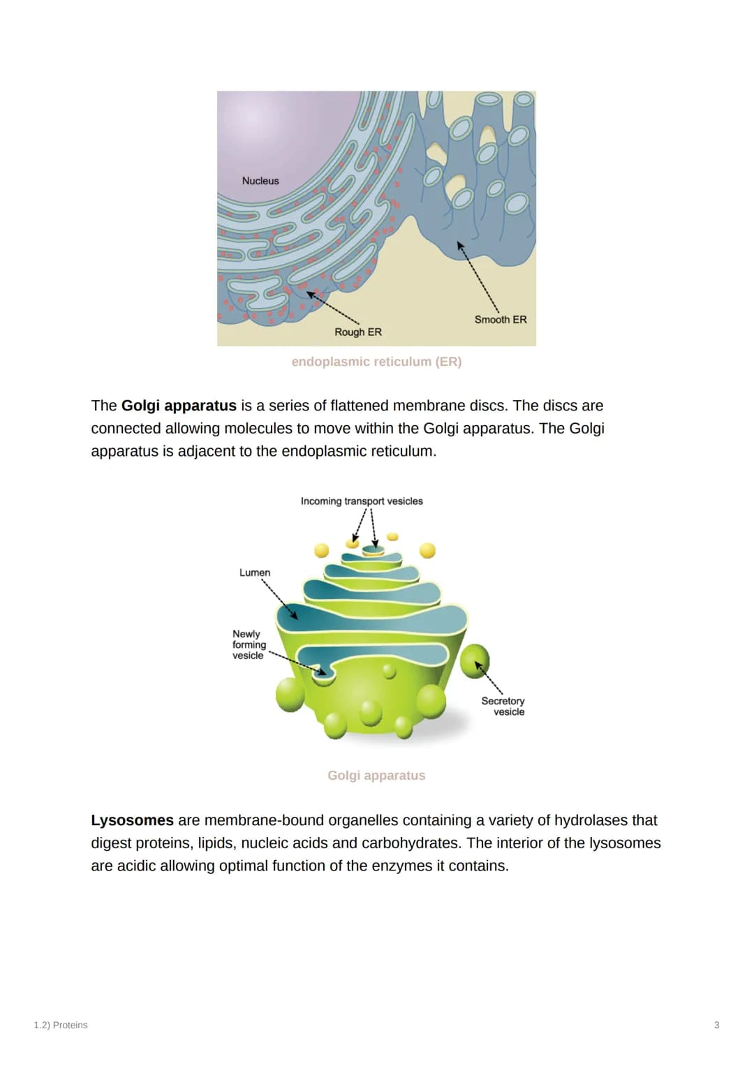 1.2) Proteins
1.2) Proteins
a) The Proteome
Complexity
2000
Genome
-20-25,000
genes Alternative splicing
2MMA
-AAA
AAA
AAA
AAA
-100,000
mRNA