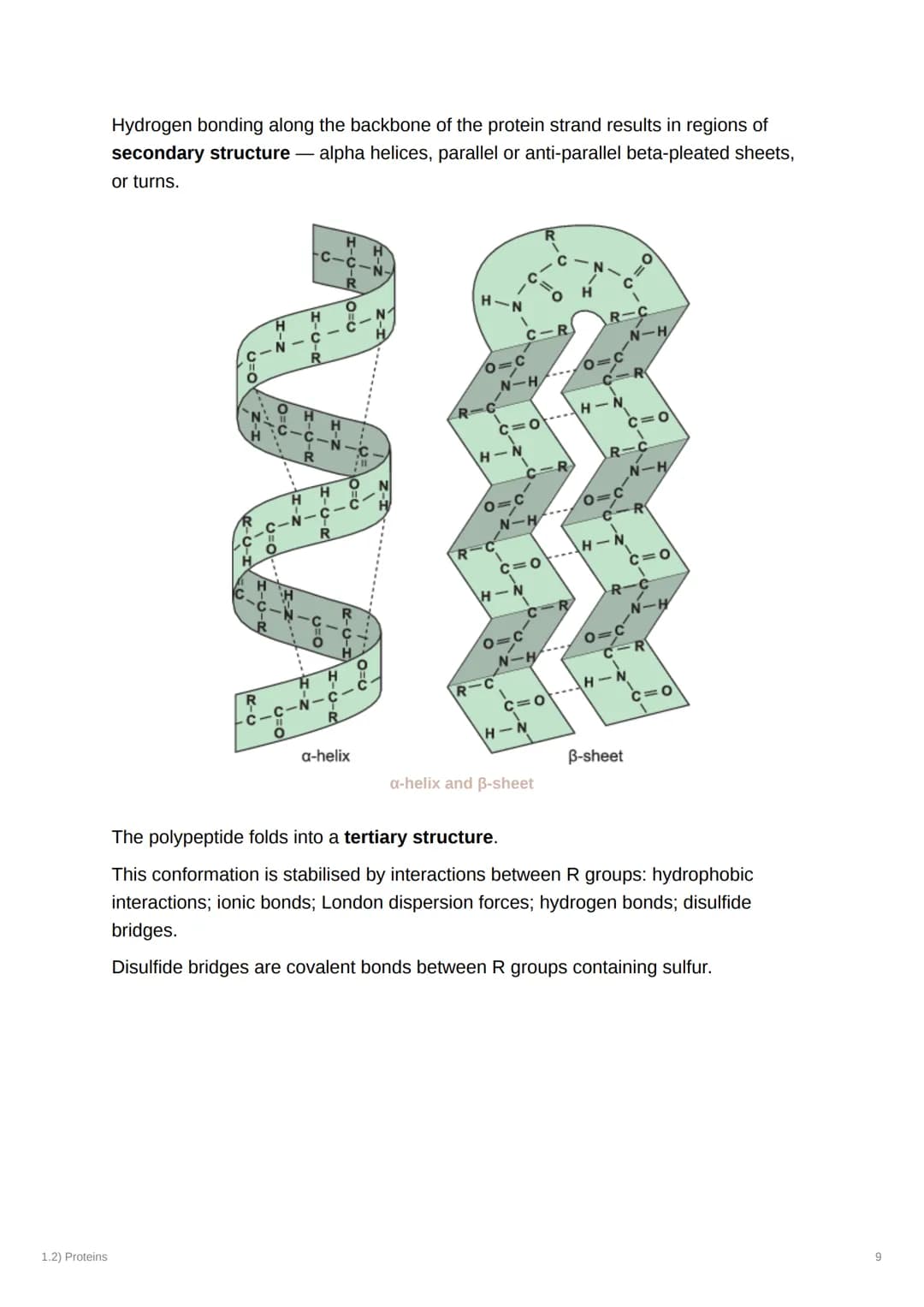 1.2) Proteins
1.2) Proteins
a) The Proteome
Complexity
2000
Genome
-20-25,000
genes Alternative splicing
2MMA
-AAA
AAA
AAA
AAA
-100,000
mRNA