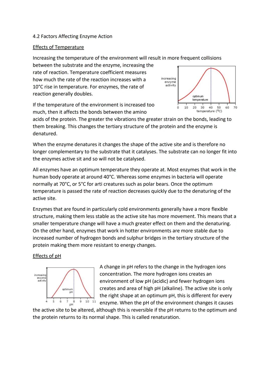 4.2 Factors Affecting Enzyme Action

Effects of Temperature

Increasing the temperature of the environment will result in more frequent coll