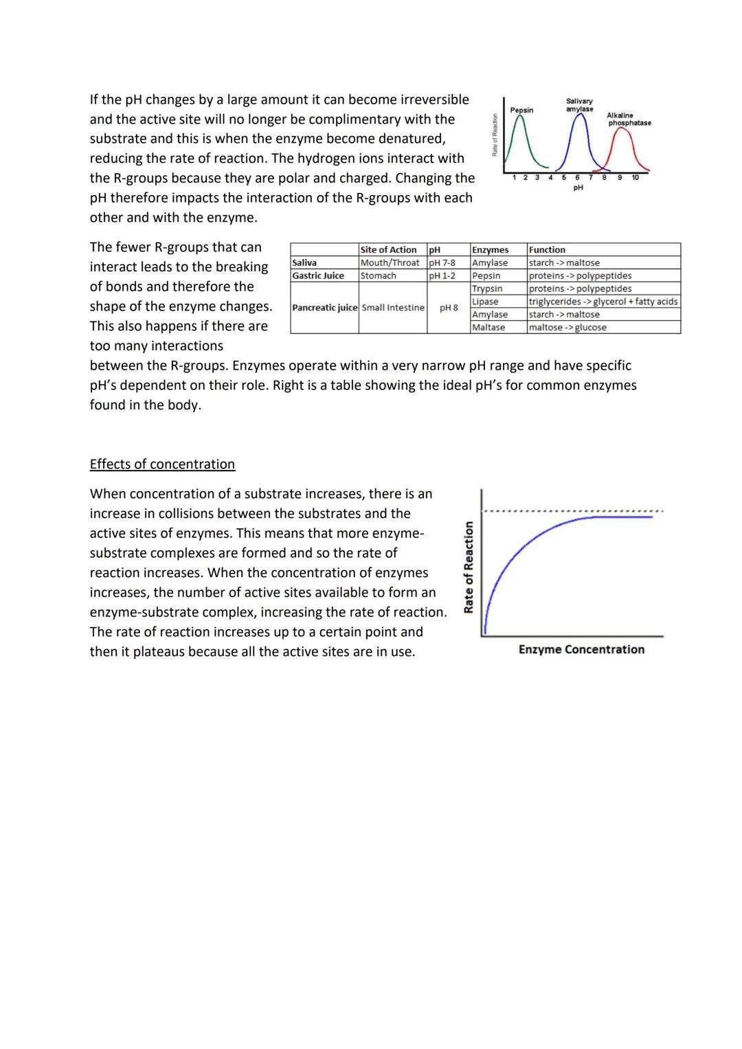 4.2 Factors Affecting Enzyme Action

Effects of Temperature

Increasing the temperature of the environment will result in more frequent coll