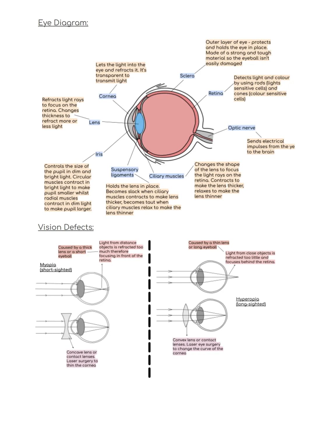 B5 Summary
Blood glucose regulation:
Receptors on the
pancreas detects
this change and
releases insulin
Blood glucose
levels increase
Blood 