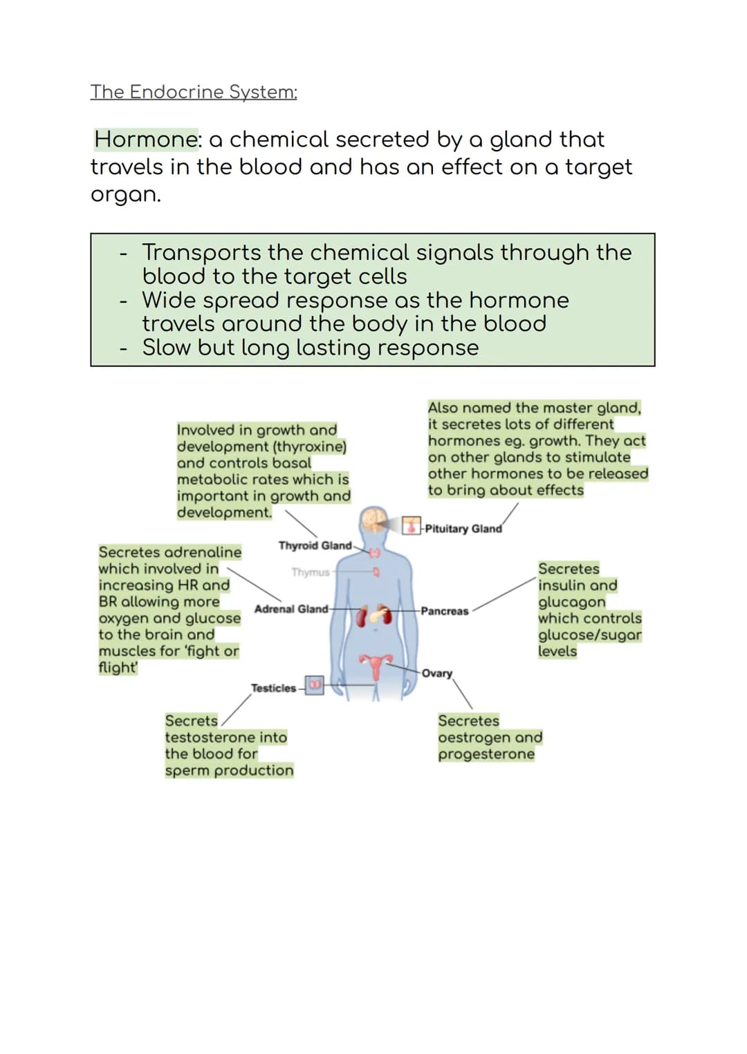 B5 Summary
Blood glucose regulation:
Receptors on the
pancreas detects
this change and
releases insulin
Blood glucose
levels increase
Blood 