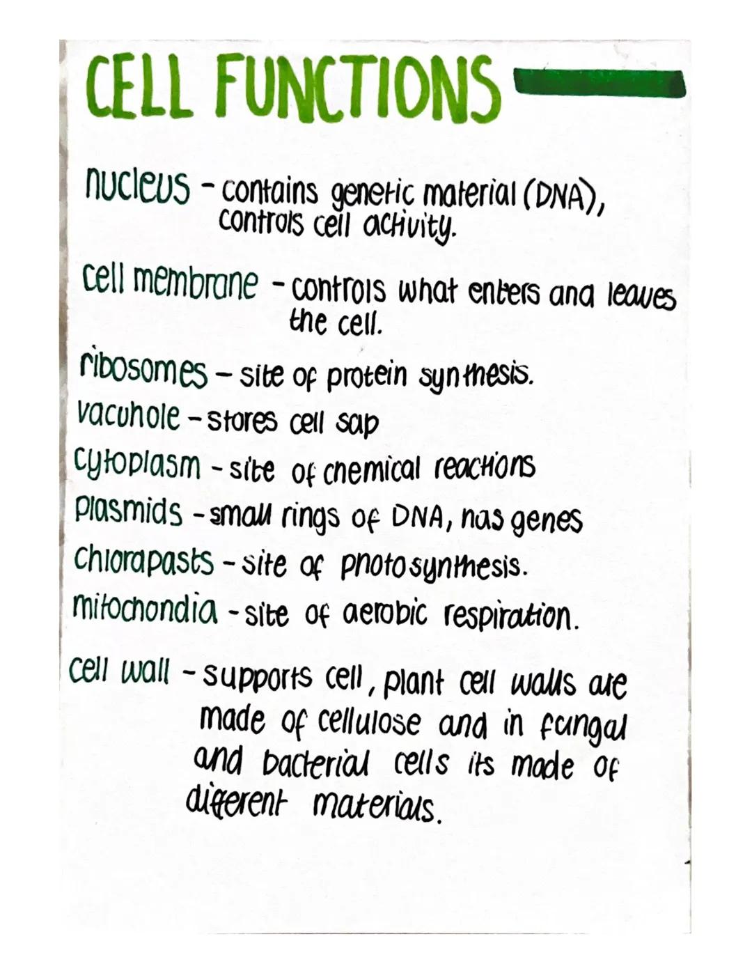 BLOOD
Blood can be seperated into two main parts:
-Plasma (Liquid)
- Blood cells
There are 3 types of blood cells all with different functio