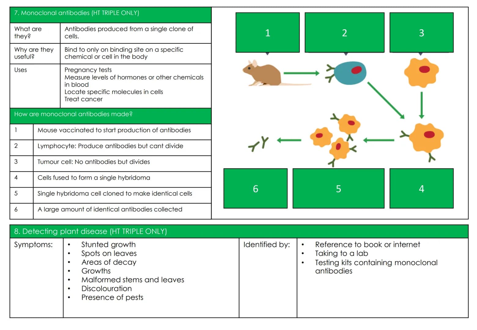 Biology Topic 3: Infection and response
1. Keywords
Communicable
(infectious) disease
Pathogen
Bacteria
Protists
Fungi
Virus
Droplet inhalat