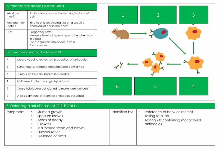 Biology Topic 3: Infection and response
1. Keywords
Communicable
(infectious) disease
Pathogen
Bacteria
Protists
Fungi
Virus
Droplet inhalat