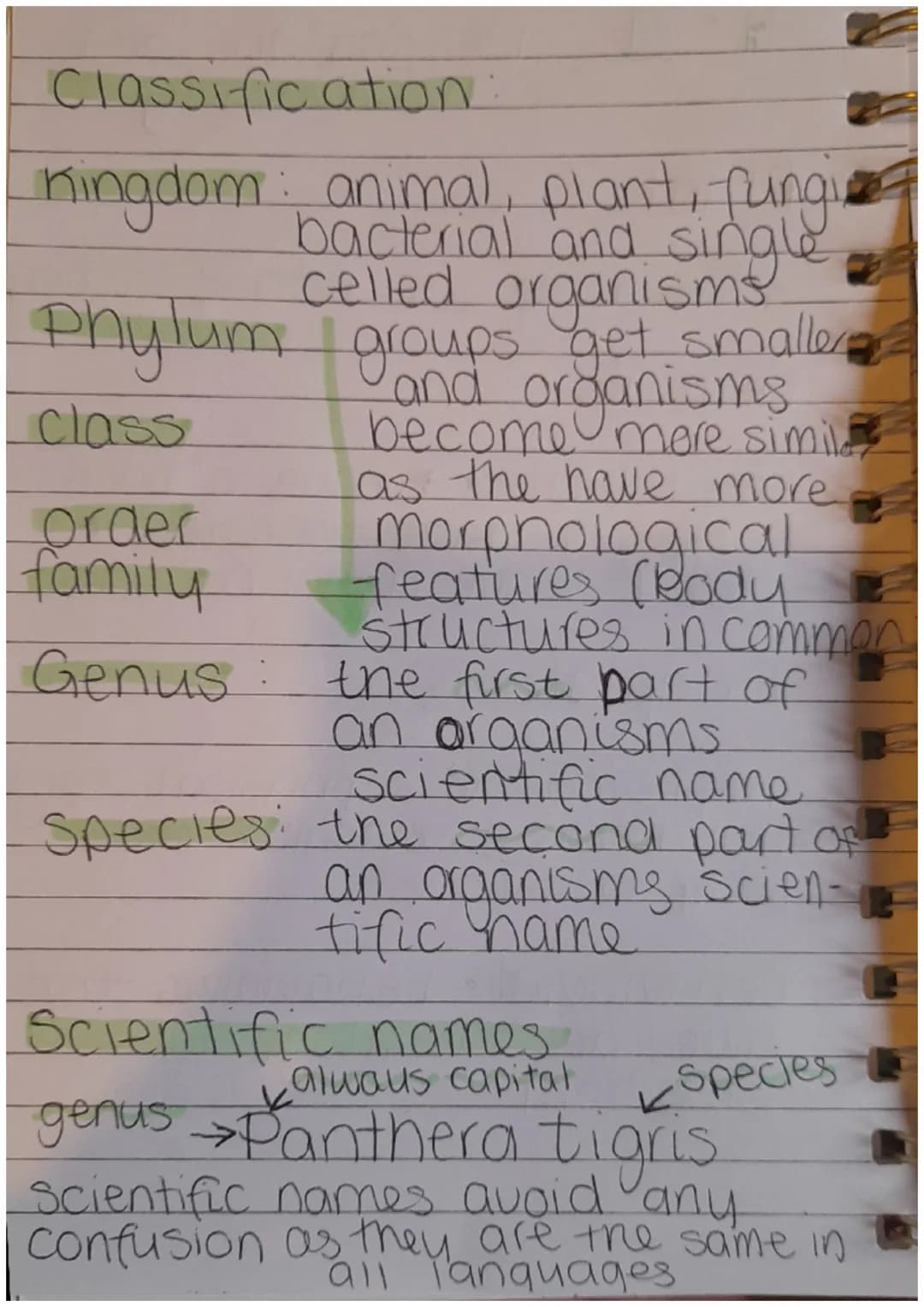 21.11 classification and
bió diversity
Plants
flowering
Animals
or non-flowering
vertebrates have a back-
bone or invertebrates +
don't have