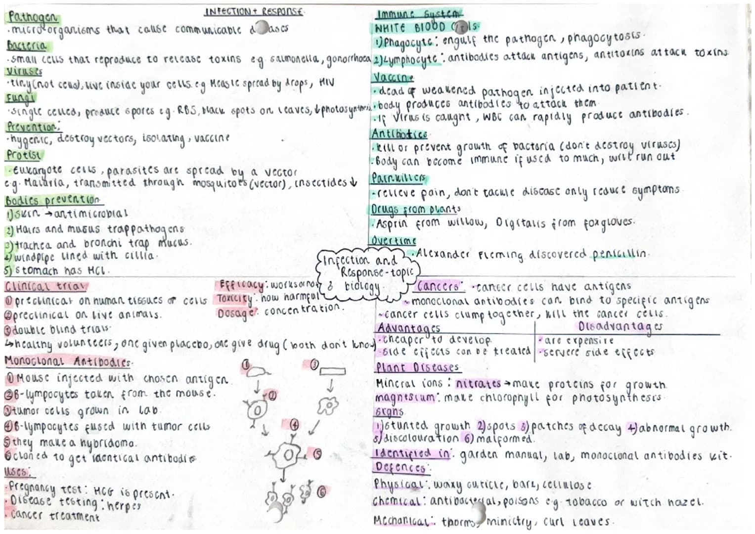 ells
Eukaryotic: have a nucleus eg. animal / plant coll.
'tokaryotic: no truc nucleus og bacteria.
ant
Aucleas wall
Homembrane
Citoplasm
mit