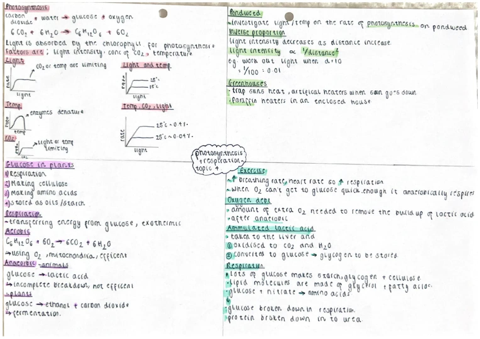 ells
Eukaryotic: have a nucleus eg. animal / plant coll.
'tokaryotic: no truc nucleus og bacteria.
ant
Aucleas wall
Homembrane
Citoplasm
mit