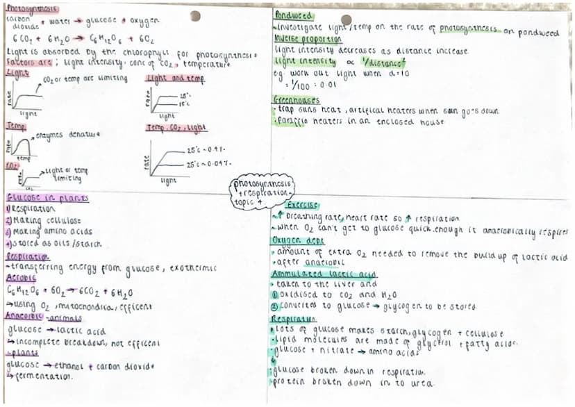ells
Eukaryotic: have a nucleus eg. animal / plant coll.
'tokaryotic: no truc nucleus og bacteria.
ant
Aucleas wall
Homembrane
Citoplasm
mit