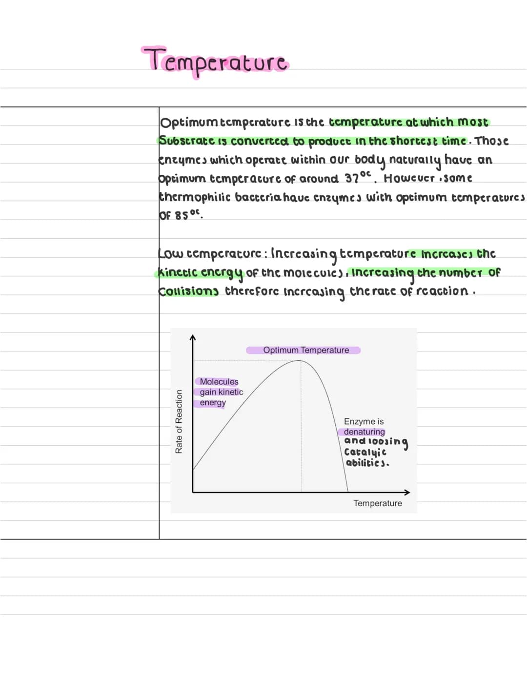 What are
enzymes ?
describe what a
anabolic reaction
15?
describe what a
catabolic reaction is?
Enzymes
enzymes are globular proteins that c