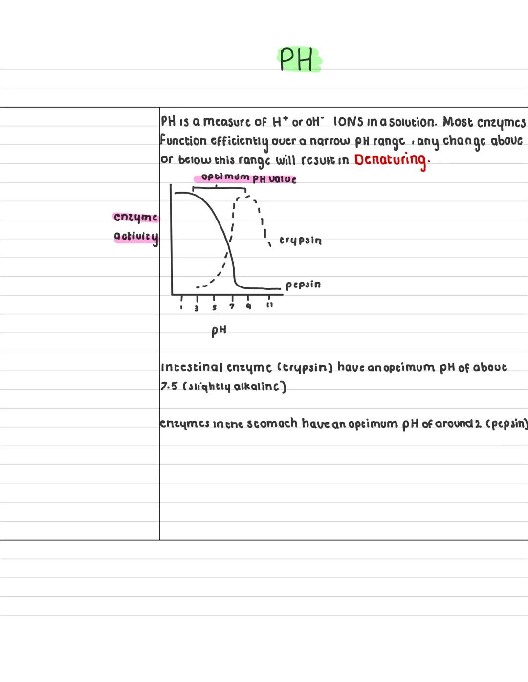 What are
enzymes ?
describe what a
anabolic reaction
15?
describe what a
catabolic reaction is?
Enzymes
enzymes are globular proteins that c