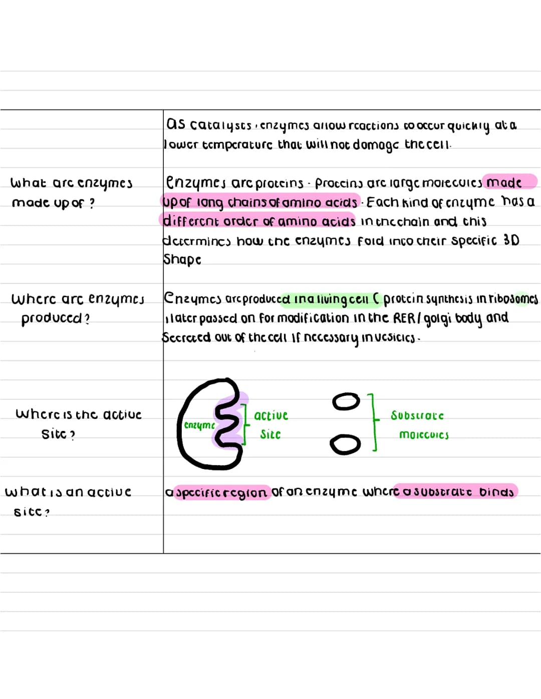 What are
enzymes ?
describe what a
anabolic reaction
15?
describe what a
catabolic reaction is?
Enzymes
enzymes are globular proteins that c