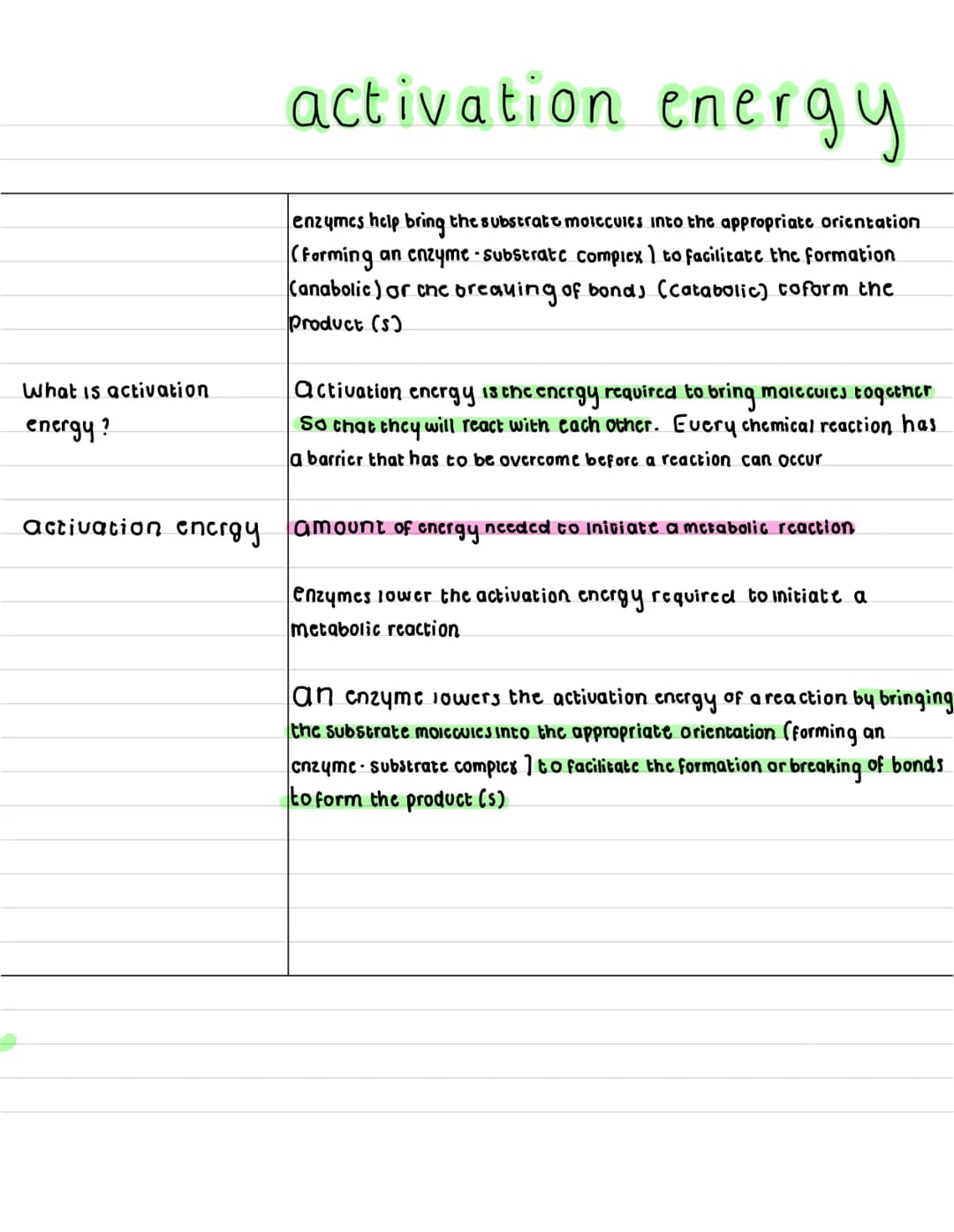 What are
enzymes ?
describe what a
anabolic reaction
15?
describe what a
catabolic reaction is?
Enzymes
enzymes are globular proteins that c