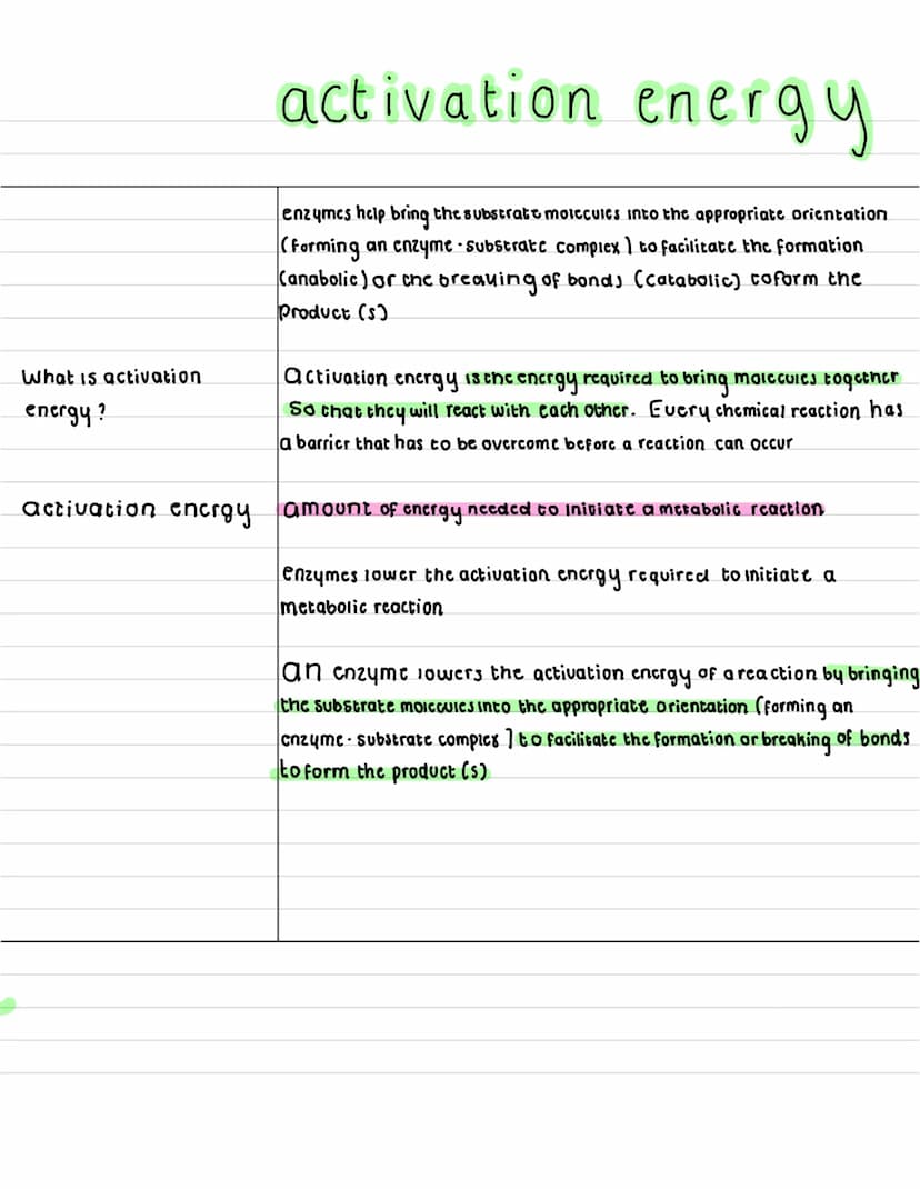 What are
enzymes ?
describe what a
anabolic reaction
15?
describe what a
catabolic reaction is?
Enzymes
enzymes are globular proteins that c