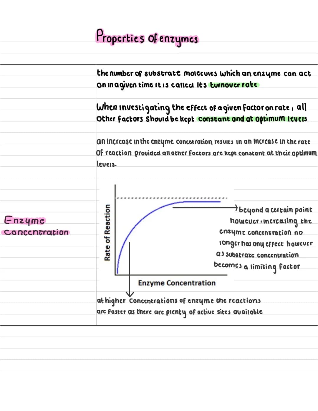 What are
enzymes ?
describe what a
anabolic reaction
15?
describe what a
catabolic reaction is?
Enzymes
enzymes are globular proteins that c