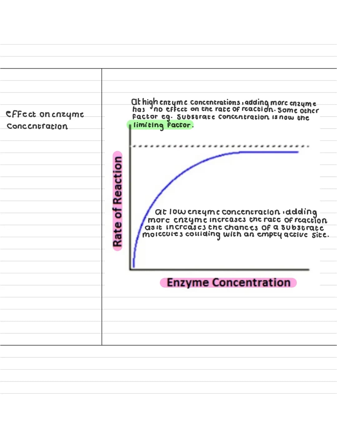 What are
enzymes ?
describe what a
anabolic reaction
15?
describe what a
catabolic reaction is?
Enzymes
enzymes are globular proteins that c