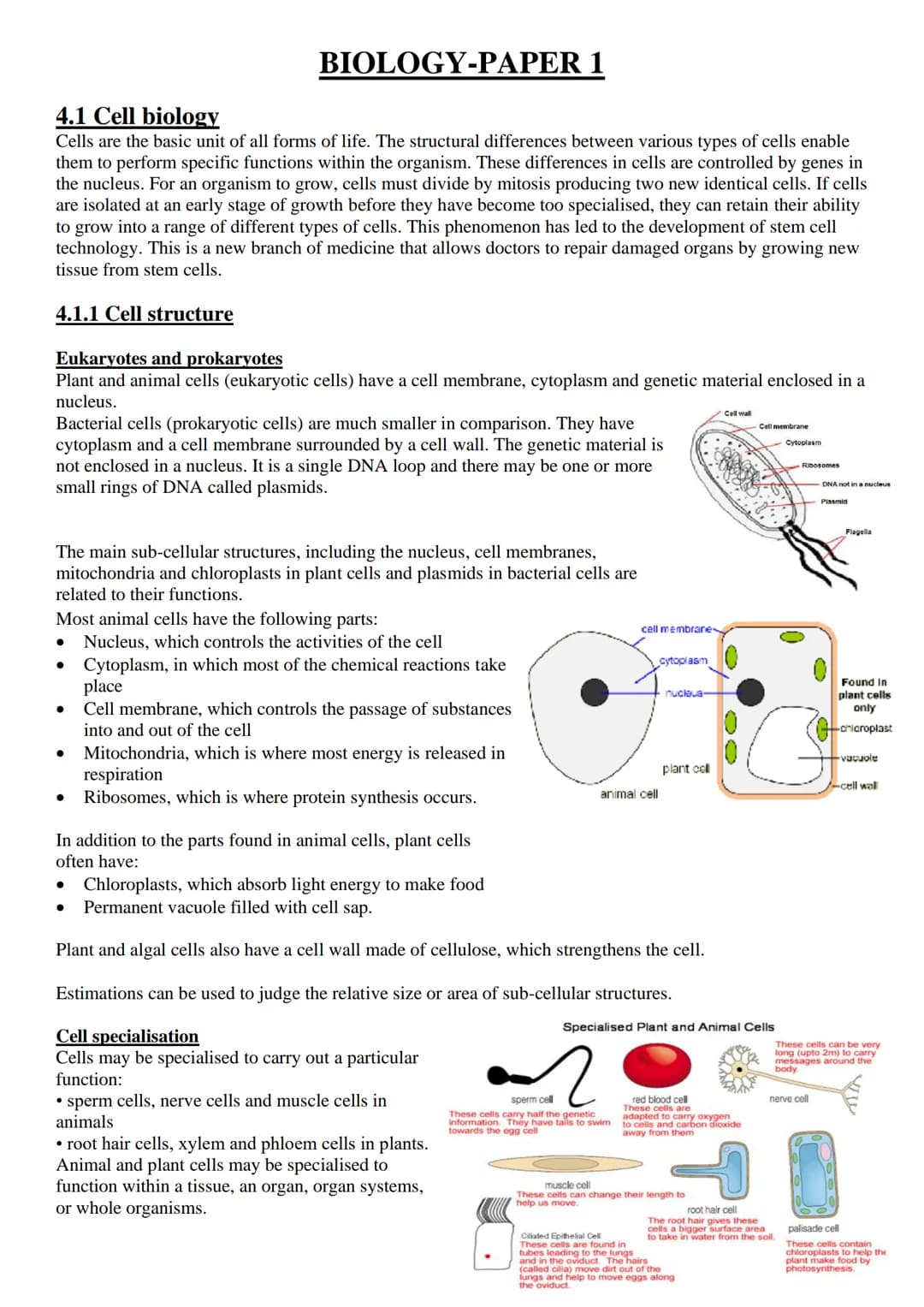 
<p>Exchange surfaces and a transport system are essential in multicellular organisms to ensure that there is a large surface area to volume