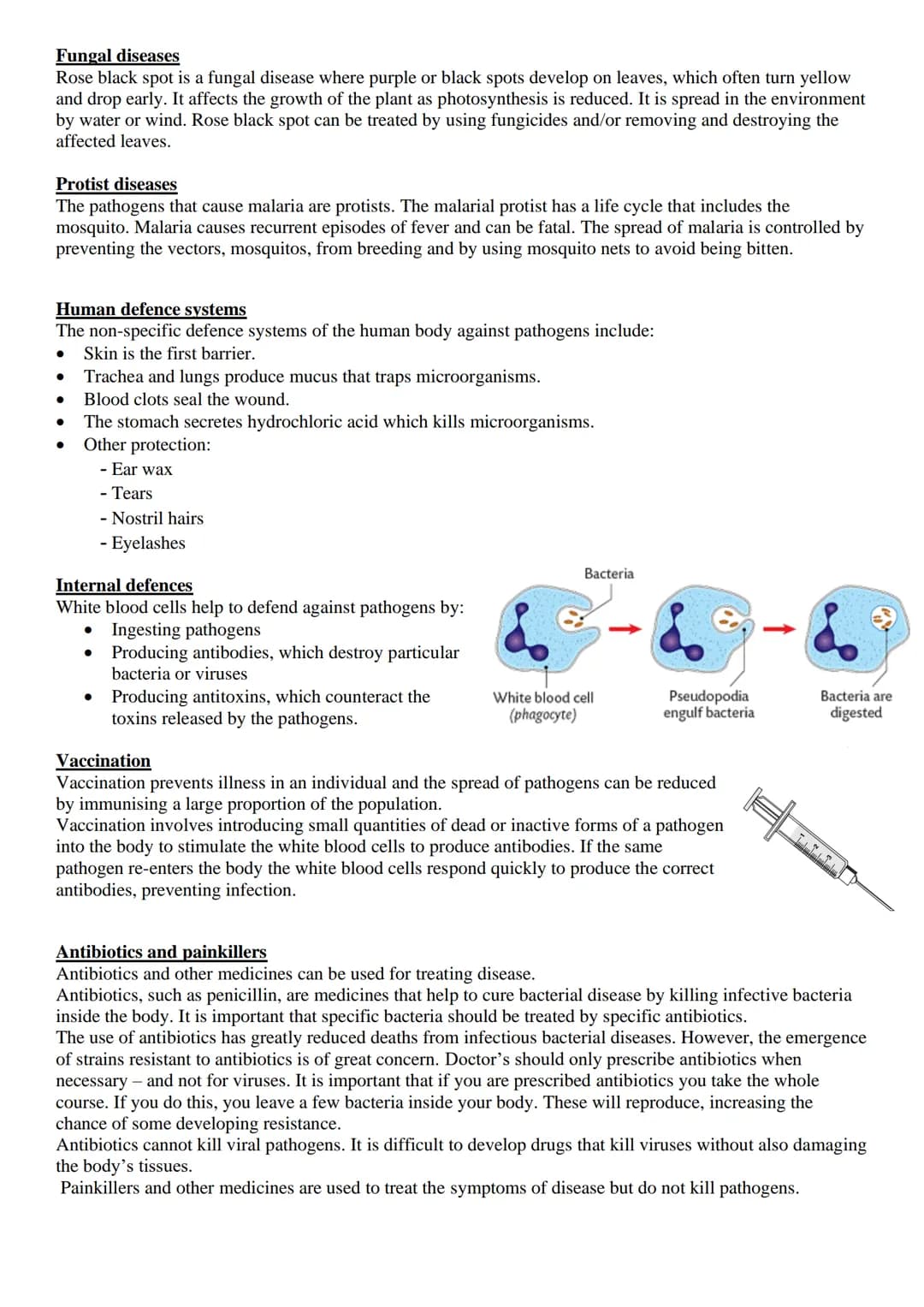 
<p>Exchange surfaces and a transport system are essential in multicellular organisms to ensure that there is a large surface area to volume