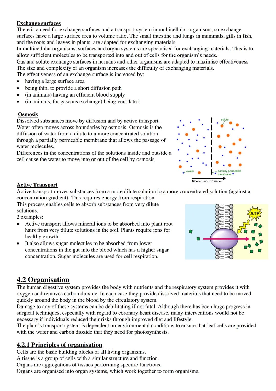 
<p>Exchange surfaces and a transport system are essential in multicellular organisms to ensure that there is a large surface area to volume