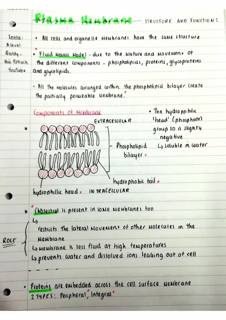 Know A level Biology - Plasma Membranes  thumbnail