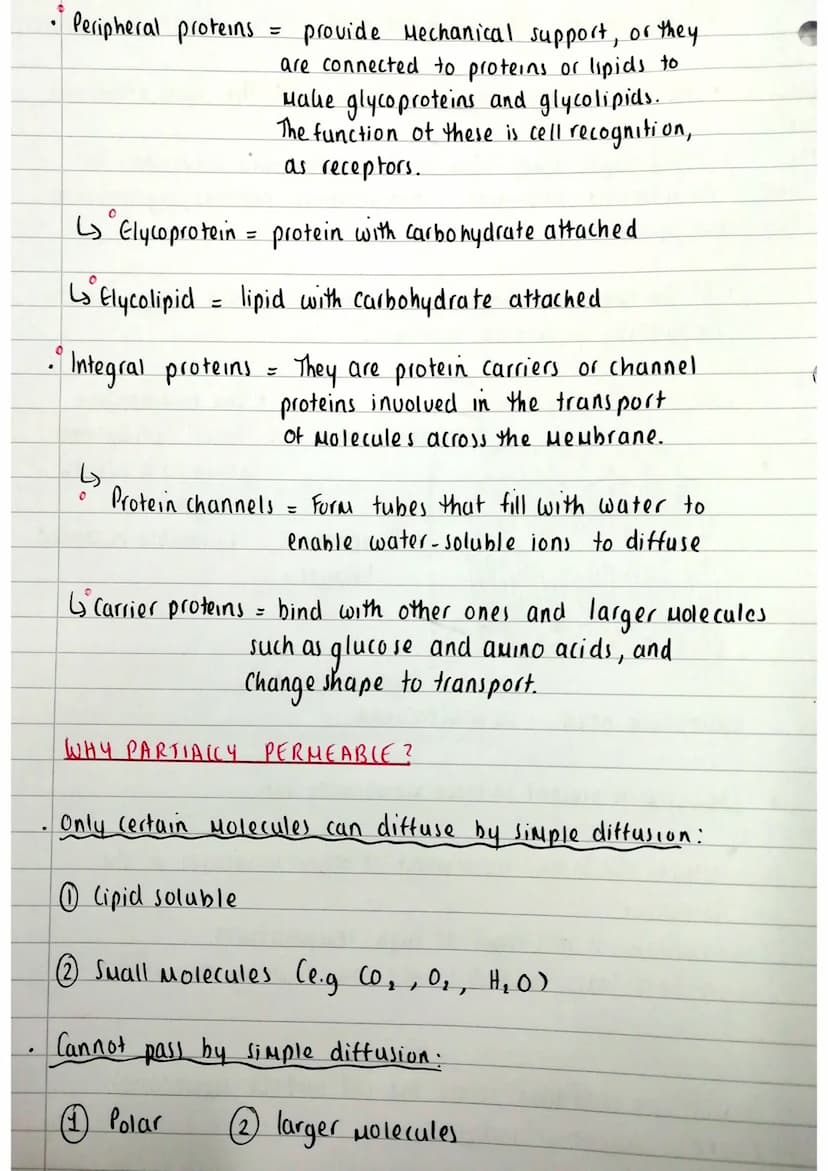 Source:
A level
Bioldy -
Miss Estruch
YouTube
ROLE
*
plasma Hem
All cells and organelle Membranes have the same structure.
●
●
• Fluid Mosai