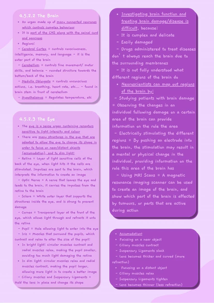 4.5 Homeostasis and Response
4.5.1 HOMEOSTASIS
• Homeostasis is the regulation of the
internal conditions of a cell or
organism, to maintain
