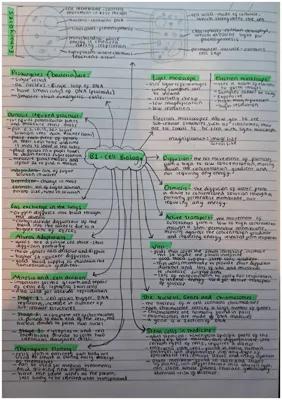 Know paper 1 notes topics 1-4 thumbnail