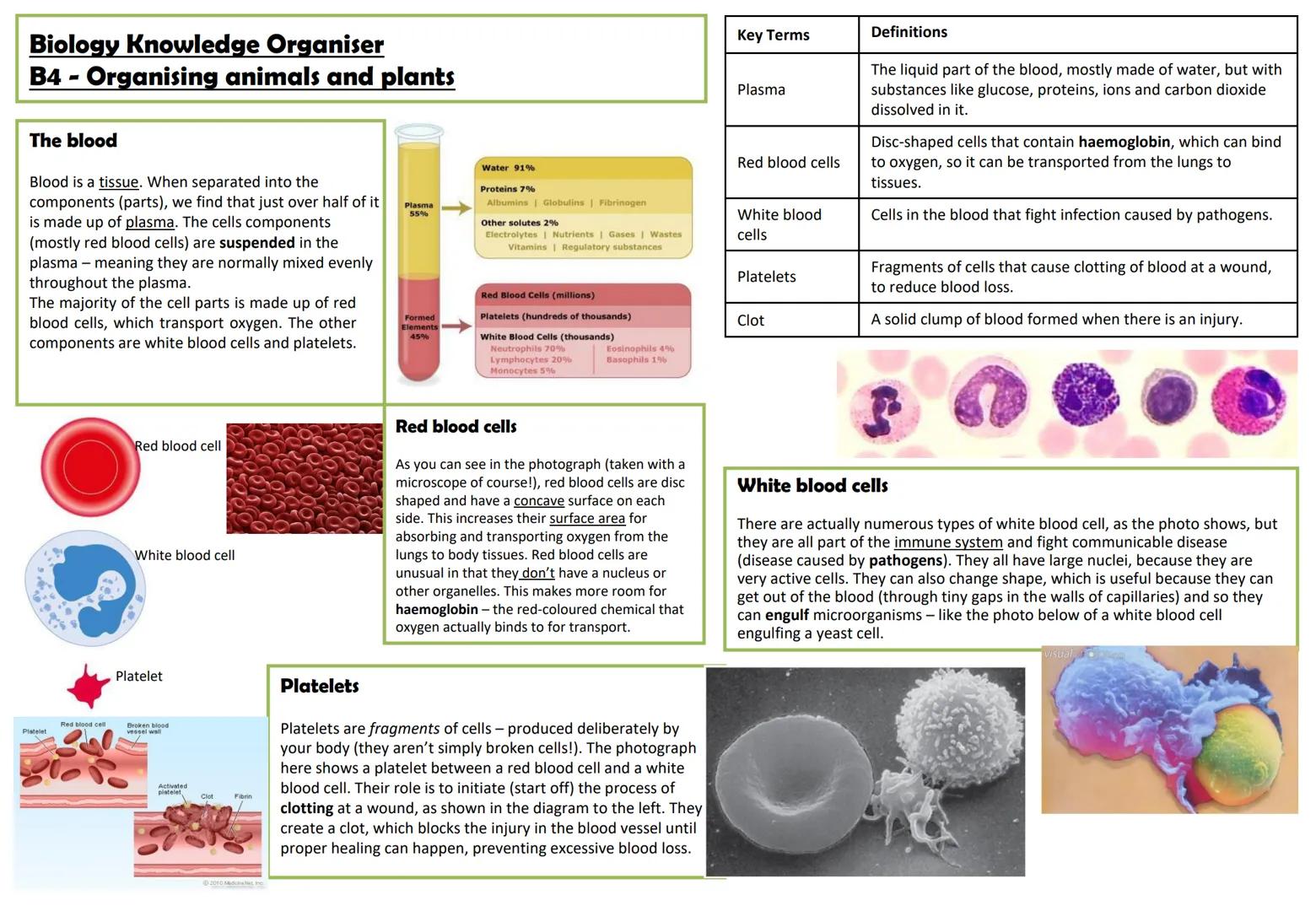 # Biology Knowledge Organiser
# B4 - Organising animals and plants

## The heart

The heart is an organ whose role is to pump blood around t